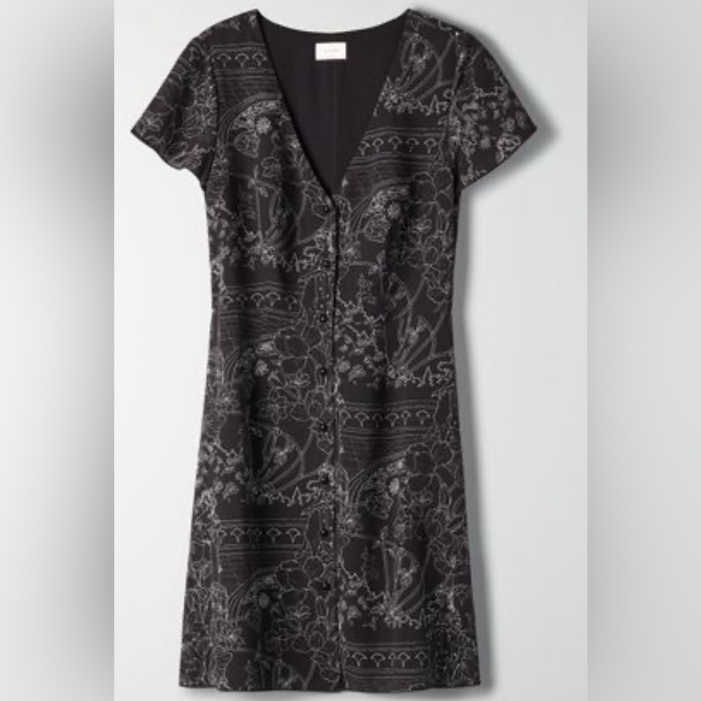 Aritzia Wilfred Mini Dress